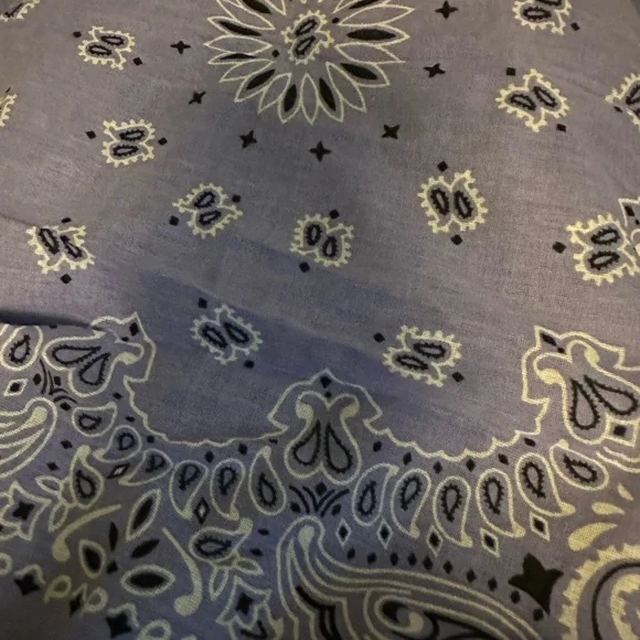 YASHICA PAISLEY PRINT SCARF - Picture 6 of 7